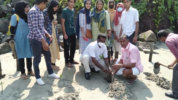 मैंग्रोव से क्लाइमेट चेंज का मुकाबला 