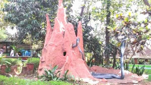 सर्प समुदाय के लिए अनुकूल है तपकरा का वातावरण