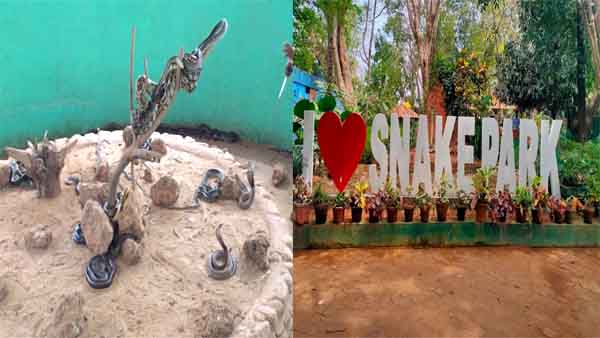 स्नेक रिसर्च सेंटर में बनेगा स्नेक पार्क, पर्यटन को मिलेगा बढ़ावा