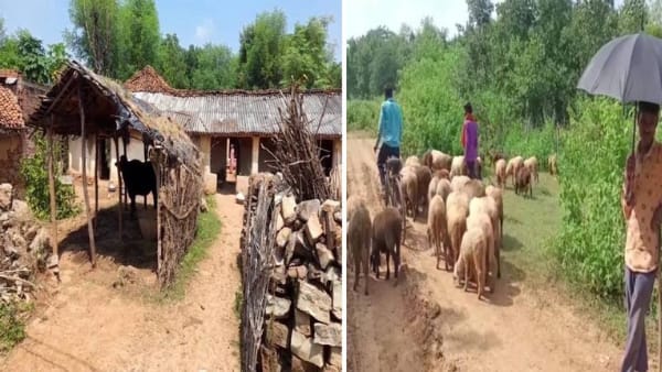 भेड़ के बाल से बनाते हैं कंबल