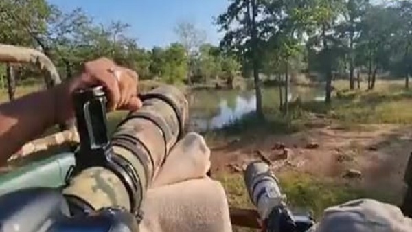 टाइगर पास आने लगा तो धड़कने बढ़ी, कार आगे बढ़ानी पड़ी