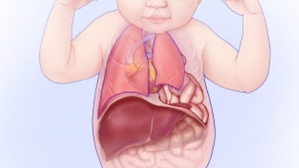 यूके और बेल्जियम के साइंटिस्ट्स ने की स्टडी