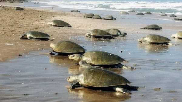 मैत्री गार्डन के पास कर रहे थे ग्राहक की तलाश