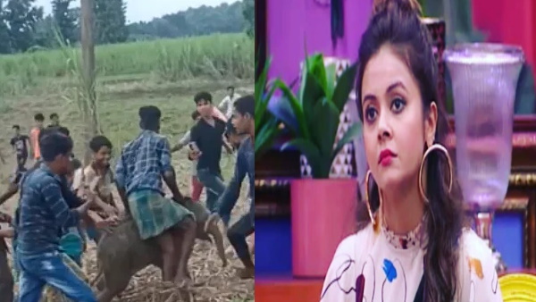 टीवी एक्‍ट्रेस देवोलीना ने सीएम से तुरंत कार्रवाई करने की मांग उठाई