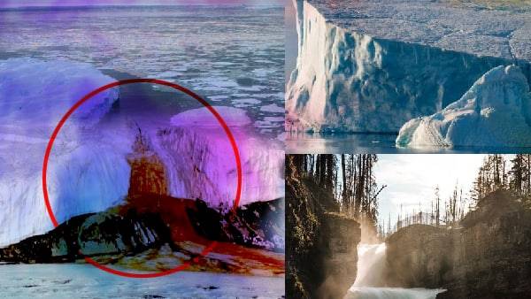 टेलर ग्लेशियर में खून का झरना टेलर ग्लेशियर में खून का झरना