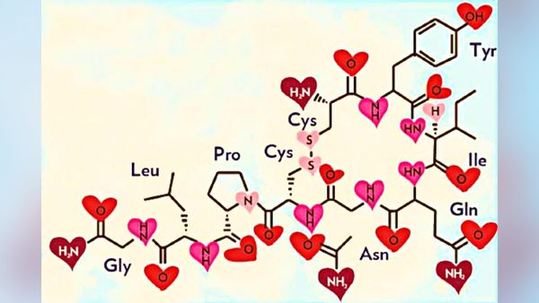 कई तरह से मददगार है ऑक्सीटोसिन 