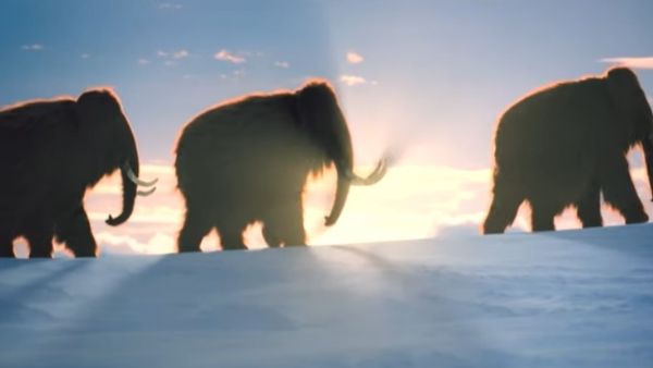 सीआईए ऐसा क्यों कर रहा है?