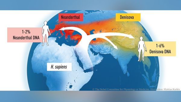 साइबेरिया के गुफा में मिली हड्डी पर किया रिसर्च