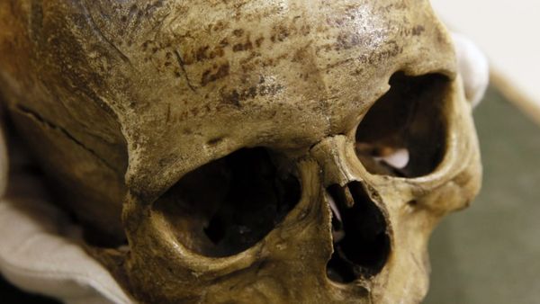 सितंबर में शुरू हुई खोपड़ी को लाने की मुहिम