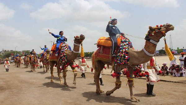  बड़े काम के हैं ऊंट के आंसू