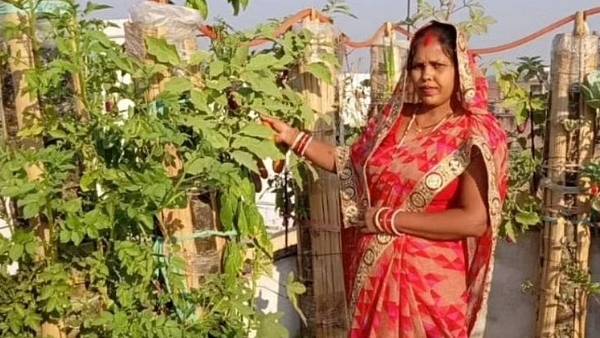 बांस में मिट्टी भर कर सब्जियों की खेती