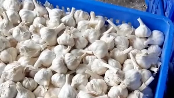 पिछली बार ये रहे थे दाम