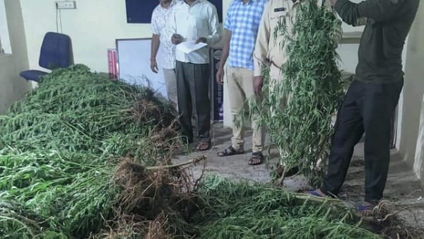 लगातार जारी है कार्रवाई 