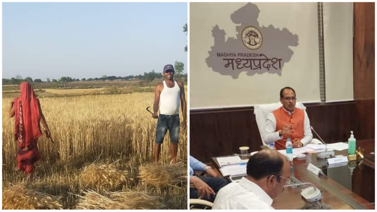 गेहूं के न्यूनतम समर्थन मूल्य में वृद्धि पर CM शिवराज ने PM को दिया धन्यवाद गेहूं के न्यूनतम समर्थन मूल्य में वृद्धि पर CM शिवराज ने PM को दिया धन्यवाद