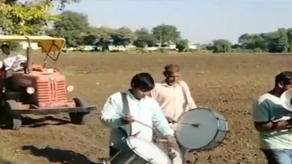 इन जिलों में होती है लहसुन खेती