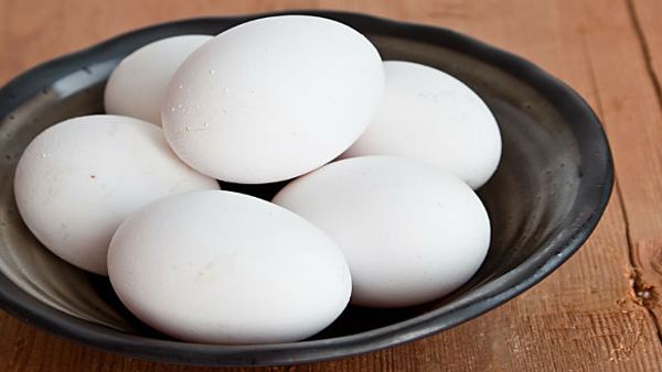 विश्व अंडा दिवस का उद्देश्य