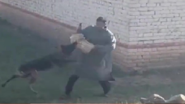 दो गोली लगने के बाद भी आतंकियों से लड़ रहा था जूम