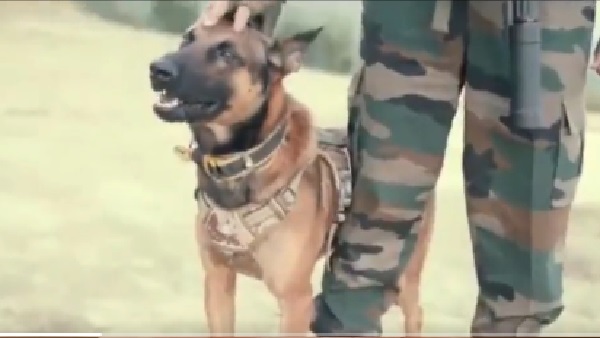 दो गोली लगने के बाद भी आतंकियों से लड़ रहा था जूम