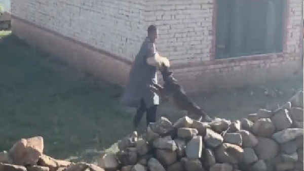 घायल होने से पहले जूम ने कर दिया था अपना काम