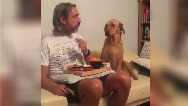 कुत्ता की हरकत देख हंस रहे लोग कुत्ता की हरकत देख हंस रहे लोग