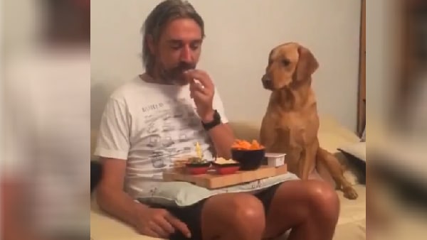 मुझे इसकी जरूरत थी... मुझे इसकी जरूरत थी...