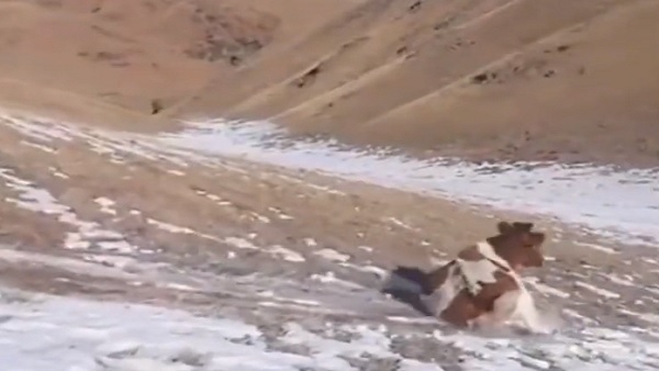 कमेंट्स की आई बाढ़