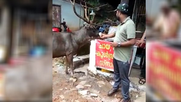 खाने के प्रति जताई चिंता