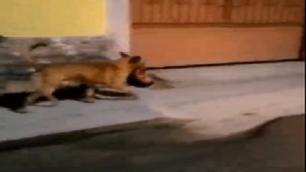 मृतका की शिनाख्त नहीं