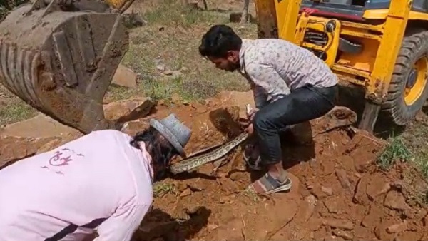 एक हफ्ते में कई दफा आया था नजर