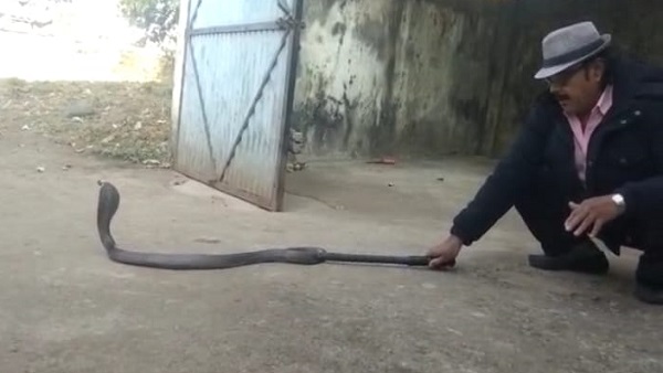 शरीर सुन्न हो गया, मानो खून जम गया हो