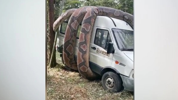 क्या है सच्चाई?