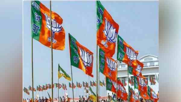 क्या आंदोलन से निकले अल्पेश भाजपा की टिकट पर ?
