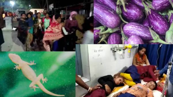 छिपकली नहीं, बैंगन का डंठल था- प्रिंसिपल