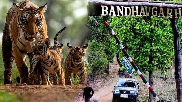 रिजर्व में तीन कोर जोन