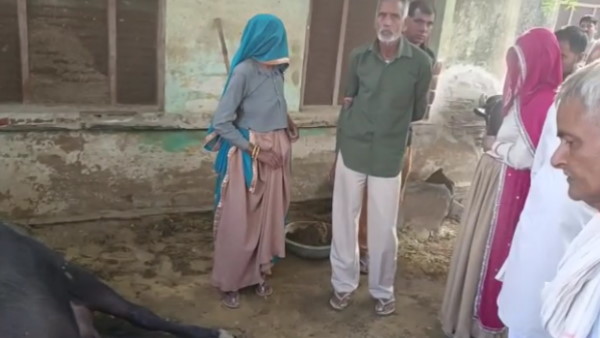  पायलट पर लापरवाही का आरोप