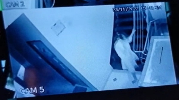 bina ku yuvti bina ku yuvti