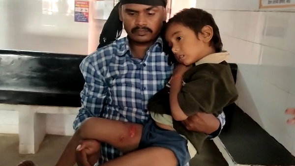 सबसे वफादार साथी के खिलाफ रोष सबसे वफादार साथी के खिलाफ रोष