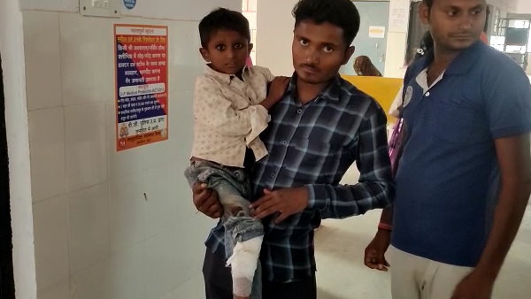 कुत्तों की कुल संख्या 1.53 करोड़ कुत्तों की कुल संख्या 1.53 करोड़