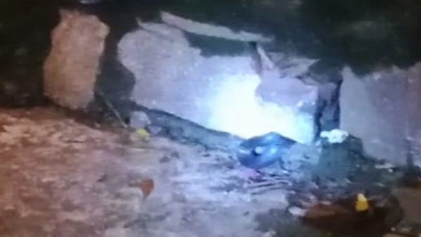 10 से 12 फीट लंबे ब्लैक कोबरा भी फर्श पर आ जाते हैं