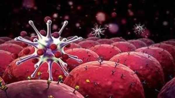 12 वर्षों में कैंसर के 10 लाख मामले