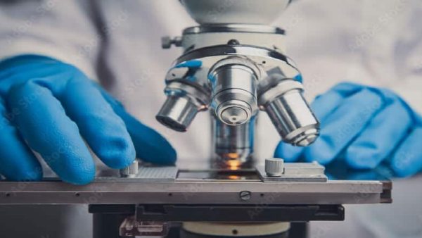 6 पहले WHO की रिपोर्ट ने किया आगाह