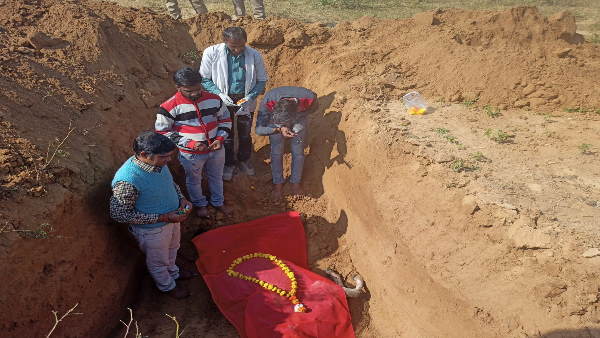 गाय के मुँह में फटा विस्फोटक गाय के मुँह में फटा विस्फोटक