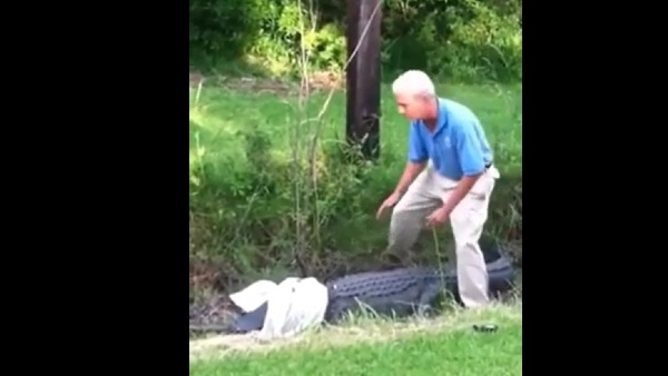 सारा खेल पड़ा उल्टा