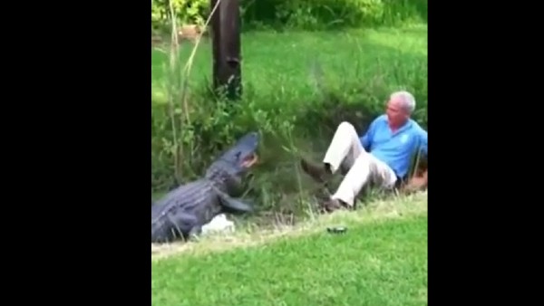 काफी ज्यादा चोट लगी