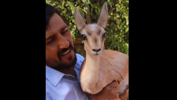 ग्रीन मैन साइक्लिस्ट नरपत सिंह का इंटरव्यू ग्रीन मैन साइक्लिस्ट नरपत सिंह का इंटरव्यू