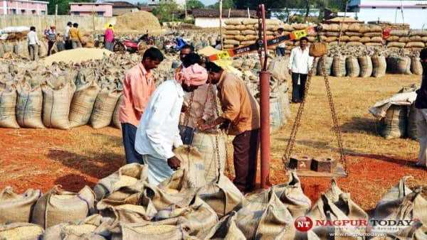 एक लाख 10 हजार MT खरीदी का रखा लक्ष्य एक लाख 10 हजार MT खरीदी का रखा लक्ष्य