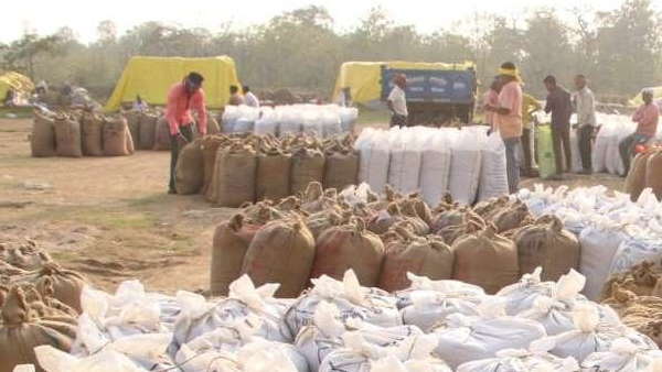 खरीदा जायेगा 20 रुपये प्रति एकड़ 20 क्विंटल की दर धान खरीदा जायेगा 20 रुपये प्रति एकड़ 20 क्विंटल की दर धान