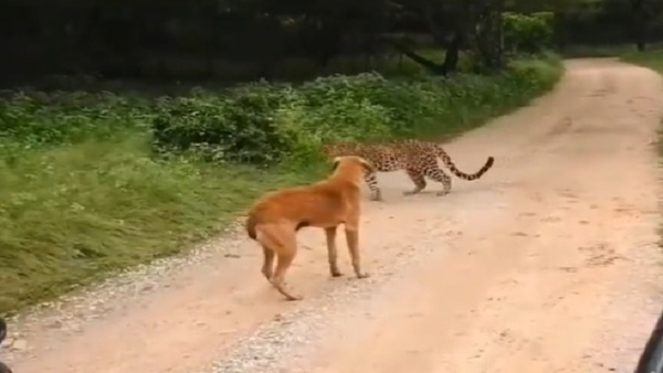 डर जाता तो मर जाता