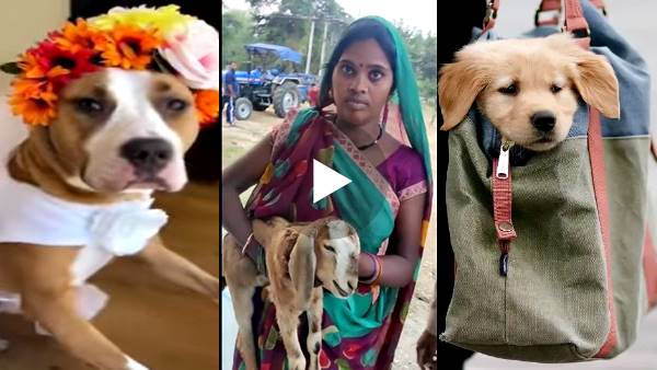 पुलिस में अब ऐसी शिकायतों का बोझ पुलिस में अब ऐसी शिकायतों का बोझ