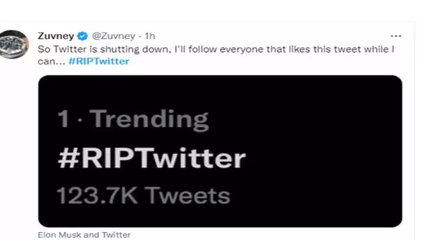 सोशल मीडिया पर #RIPTwitter टॉप ट्रेंड कर रहा है